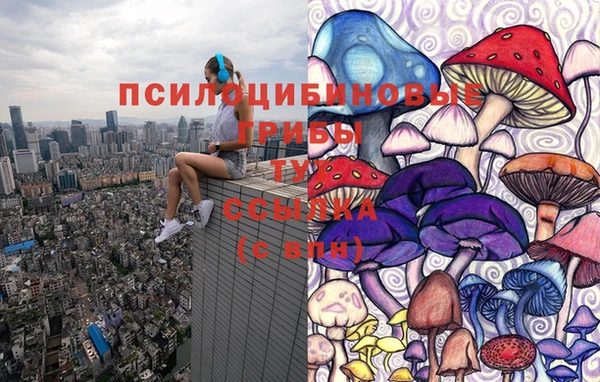 jwh Нефтекумск
