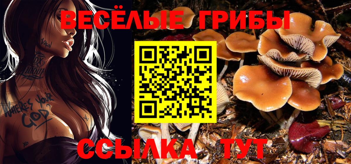 Псилоцибиновые грибы Magic Shrooms Майский