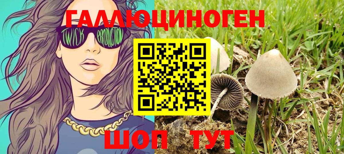 Molly  Вход с VPN  Майский  Каннабис  Кокаин  A PVP  МЕФ  Ляпка  Меф  Codein 