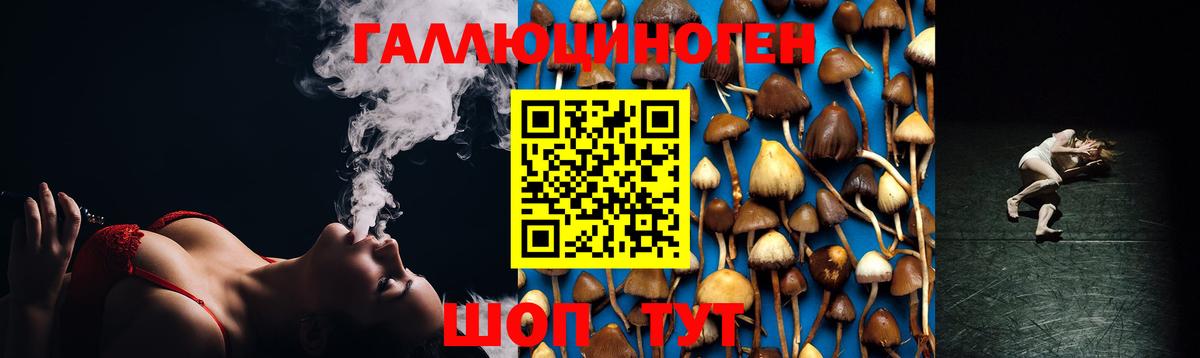 Псилоцибиновые грибы мицелий  Вход с VPN  Майский 