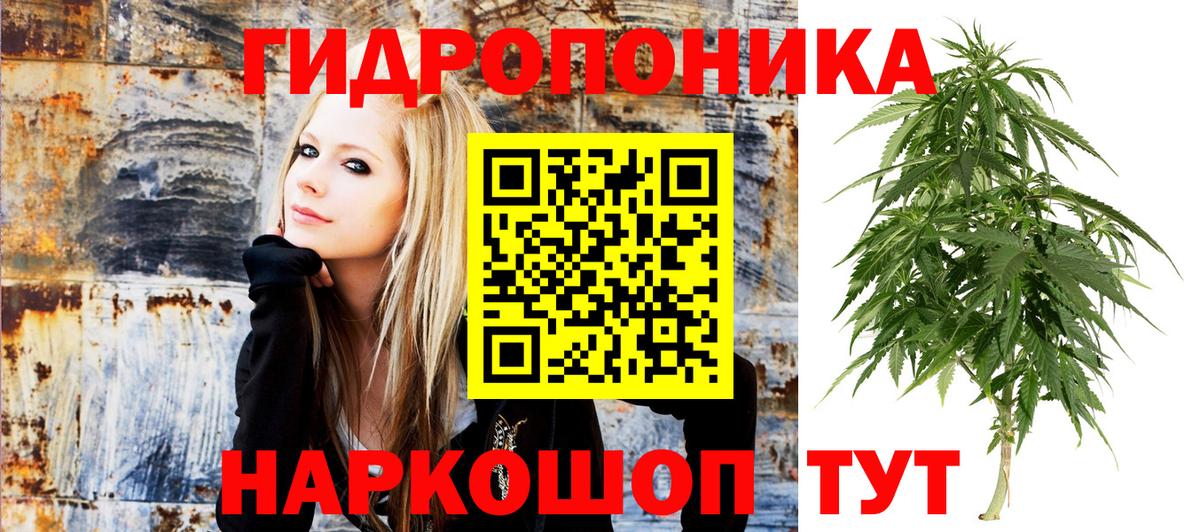 Шишки марихуана Bruce Banner Майский